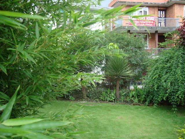 Kathmandu Peace Guesthouse Dış mekan fotoğraf